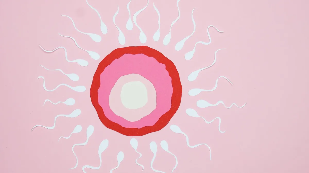 Illustration of egg fertilization with sperm, featuring paper cutouts on a pink background.